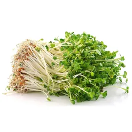slonecznik-nasiona-na-kielki-toraf-20g