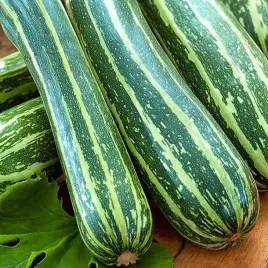 cukinia-tapir-dynia-zwyczajna-nasiona-toraf-3g
