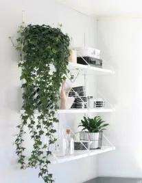 bluszcz-pospolit-hedera-helix-las-w-sloiku-zielony