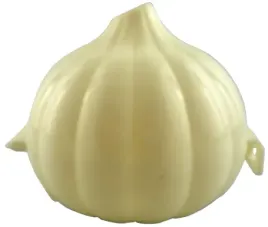 pojemnik-na-czosnek-do-przechowywania-czosnku-lodowce
