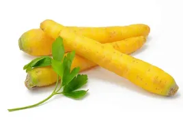 marchew-zolta-ok-500-g