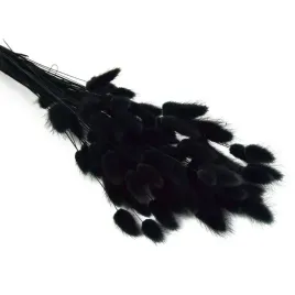 lagurus-dmuszek-jajowaty-duzy-bukiet-czarne-suszki