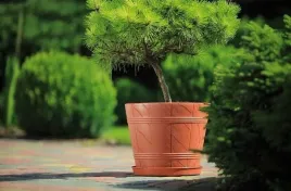 doniczka-drewnopodobna-5-18l-sr-34cm-terakota