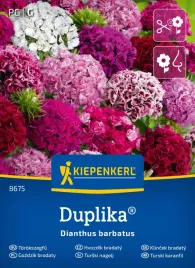 gozdzik-brodaty-duplika-8677