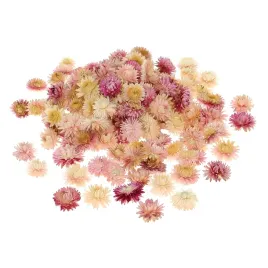 suszone-kocanki-rozowe-kwiaty-glowki-50-g-100-szt