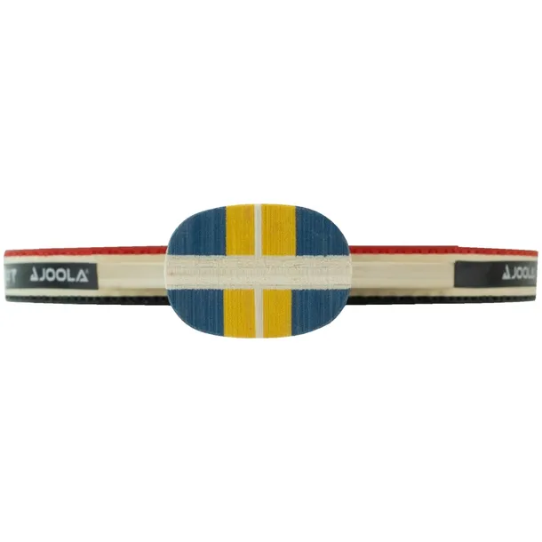 rakietka-do-ping-ponga-joola-team-master-model-52001