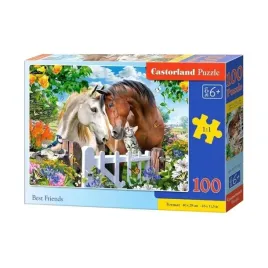 puzzle-best-friends-100-elementow-castorland