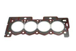 uszczeka-gl-citroen-peugeot-11-14-02-victor-reinz