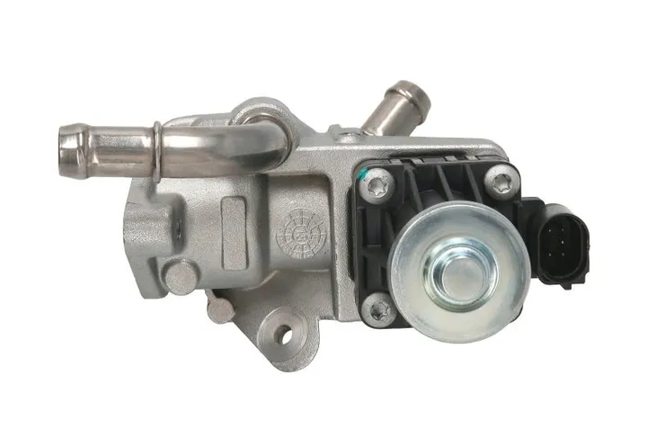 zawor-egr-ford-magneti-marelli-jakosc-czesci-zgodnie-z-gvo-q-oryginal-z-logo-producenta-czesci-oem-oes