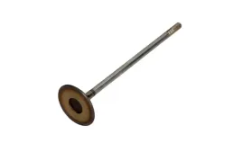 zawor-ss-opel-astra-16-06-mahle-original