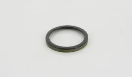 pierscien-abs-citroen-tyl-berlingo-c4-c5-c6-96-854028410-triscan