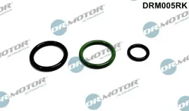 zestaw-naprawczy-pompowtryskiwacza-vw-drm005rk-dr-motor