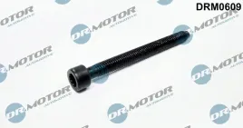 sruba-pompowtryskiwacza-vw-m6x64-drm0609-dr-motor