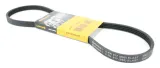 pasek-wielorowkowy-4pk917elast-4pk917elast-contitech-numer-katalogowy-oryginalu-bmw-11286550645-bmw-11287795144-bmw-64557795144-bmw-6550645-bmw-7795144-fiat-46811241-fiat-71719034