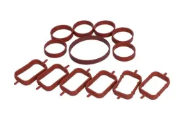 zestaw-uszczelek-kolektora-ssacego-bmw-3-e46-30-9-11-77546-01-victor-reinz