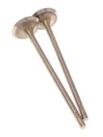 zawor-ssacy-vw-1-2tsi-16v-trw331156-trw