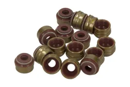 zestaw-uszczelniaczy-trzonek-zaworu-renault-12-38628-01-victor-reinz