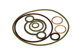 zestaw-naprawczy-pompy-wtryskowej-f00n201975-bosch