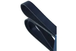 pasek-wielorowkowy-7dpk1697-7dpk1697day-dayco