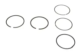 pierscienie-tlokowe-nissan-8000-qg18de-12-12-800058510000-kolbenschmidt