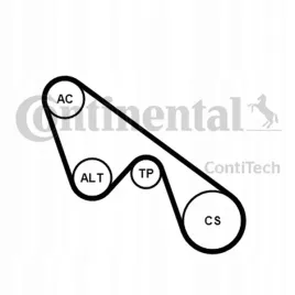zestaw-paska-wielorowkowego-fiat-12-14-5pk1150k1-contitech