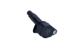 cewka-zaplonowa-smart-fortwo-10-08-gn10674-12b1-delphi