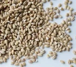 kasza-jeczmienna-peczak-25kg-swojska-piwniczka