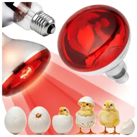 lampa-grzewcza-promiennik-podczerwien-kwoka-zarowka-100w-e27-dla-zwierzat