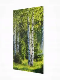 grzejnik-dekoracyjny-z-obrazem-art24-545x970