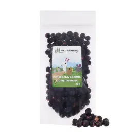 factoryherbs-czarna-porzeczka-liofilizowana-20g