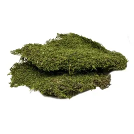 terra-natura-podloze-mech-50g