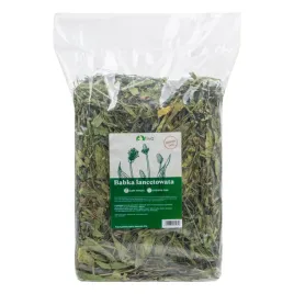 tivo-babka-lancetowata-600g