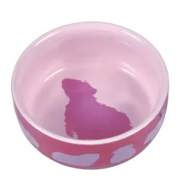 trixiemiska-ceramiczna-dla-swinki-morskiej-250ml