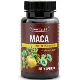 skoczylas-maca-zen-szen-gotu-cola-60caps