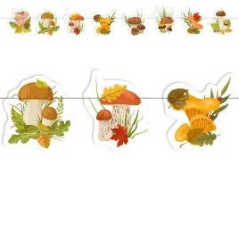 baner-jesien-lesne-grzyby-mix-kolor-22-m