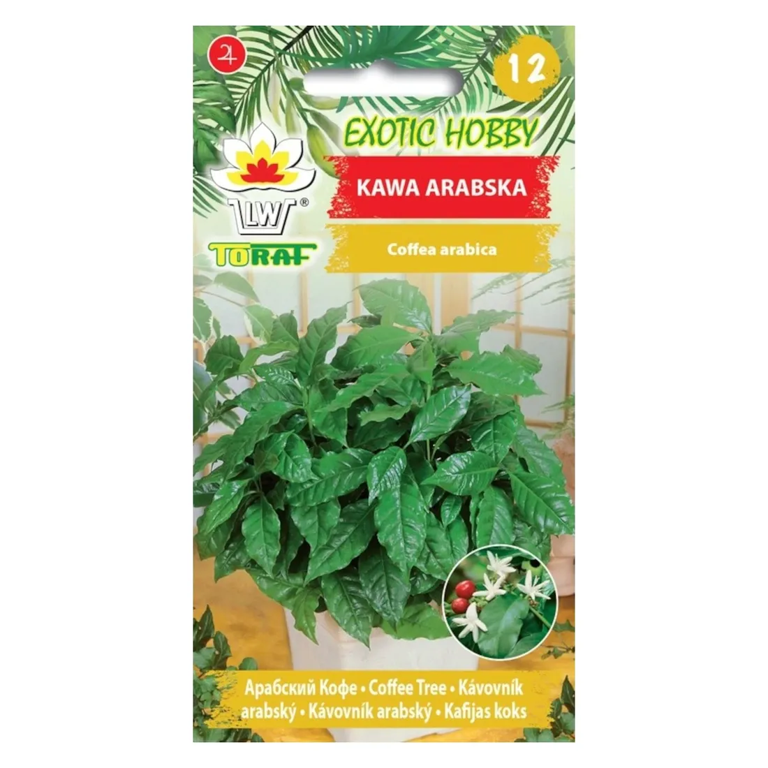 Grafika w opisie produktu