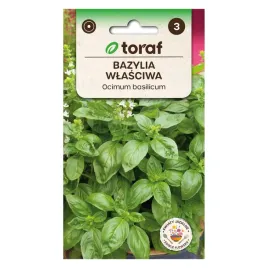 bazylia-wlasciwa-genovese-1g