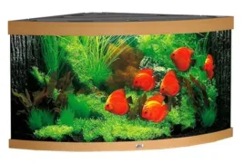 juwel-trigon-350l-akwarium-narozne-jasne-drewno