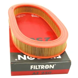 filtron-filtr-powietrza-ae250-do-ford-escort-v-fiesta-iii