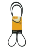 continental-4pk860-elast-pasek-klinowy-wielorowkowy