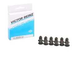 reinz-uszczelniacze-zaworowe-do-clio-iv-scenic-iii-ibiza-iv-polo-v-passat