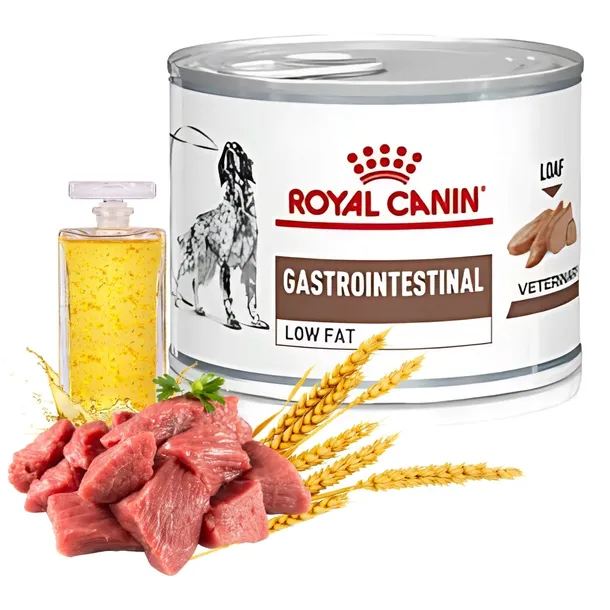 Royal Canin Gastrointestinal Low Fat 200g