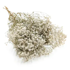 gipsowka-stabilizowana-gypsophila-royal-bouquet-naturalna