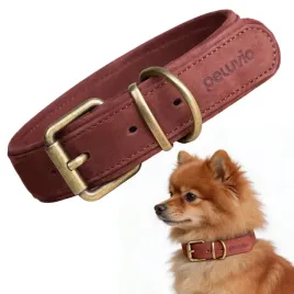 obroza-skorzana-dla-malego-psa-peluvio-rexor-xs-s-mocna-regulowana-lekka