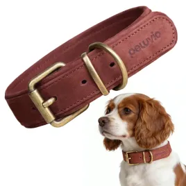 obroza-skorzana-dla-sredniego-psa-peluvio-rexor-s-m-mocna-regulowana-lekka