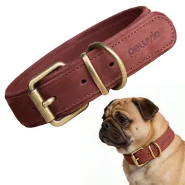 obroza-skorzana-dla-malego-psa-peluvio-rexor-s-mocna-regulowana-lekka