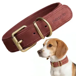 obroza-skorzana-dla-sredniego-psa-peluvio-rexor-m-mocna-regulowana-lekka