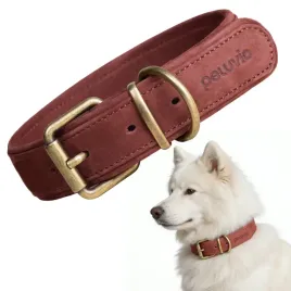 obroza-skorzana-dla-sredniego-psa-peluvio-rexor-m-l-mocna-regulowana-lekka