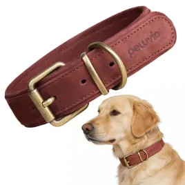 obroza-skorzana-dla-duzego-psa-peluvio-rexor-l-mocna-regulowana-lekka