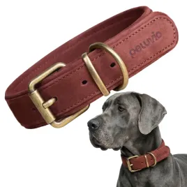 obroza-skorzana-dla-duzego-psa-peluvio-rexor-xl-mocna-regulowana-wytrzymala